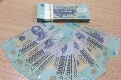 Ảnh minh họa. (Nguồn: Vietnam+)