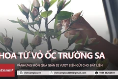 Những cành hoa, cánh thư vượt hàng trăm hải lý từ Trường Sa về đất liền