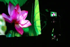 Khai mạc Lễ hội Sen Hà Nội 2024: Tôn vinh và phát huy giá trị hoa sen