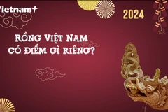 Chuyên gia trả lời những câu hỏi thường gặp về Rồng Việt Nam