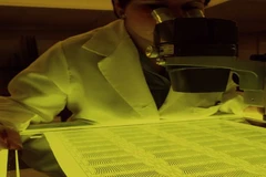 Ảnh minh họa. (Nguồn: Health.com)