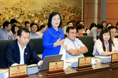 Đại biểu Quốc hội thành phố Hà Nội Trần Thị Quốc Khánh phát biểu tại tổ. (Ảnh: Phạm Kiên/TTXVN)