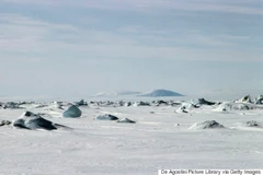 Ảnh minh họa. (Nguồn: Getty Images)