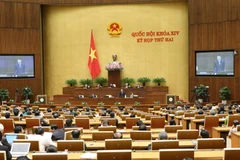 Toàn cảnh phiên họp. (Ảnh: Doãn Tấn/TTXVN)