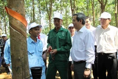 Ông Nguyễn Văn Bình, Ủy viên Bộ chính trị, Bí thư trung ương Đảng, Trưởng ban Kinh tế Trung ương, Trưởng ban chỉ đạo Tây Bắc, nói chuyện với công nhân Công ty cổ phần cao su Lai Châu. (Ảnh: Quang Duy/TTXVN)