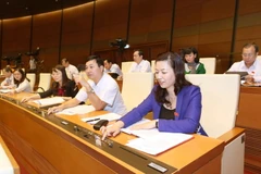 Đại biểu Quốc hội tỉnh Bắc Giang biểu quyết thông qua Luật tín ngưỡng, tôn giáo. (Ảnh: Phương Hoa/TTXVN)