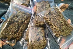 Đề xuất bổ sung "cỏ Mỹ" và bỏ điều 292 trong Bộ Luật Hình sự