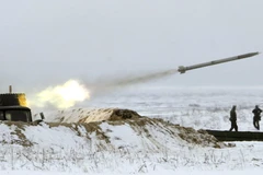 Ảnh minh họa. (Nguồn: AFP)