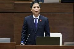 Bộ trưởng Bộ Công thương Trần Tuấn Anh trả lời chất vấn của Quốc hội, sáng 15/11. (Ảnh: Phạm Kiên/TTXVN)
