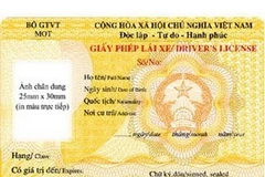 Mẫu giấy phép lái xe mới. (Ảnh chỉ có tính minh họa. Nguồn: internet)