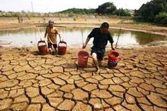 Ảnh chỉ có tính minh họa. (Nguồn: internet)