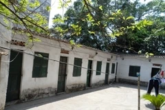 Mẫu Giấy phép lái xe mới. (Nguồn: Internet)