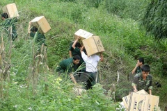 Lạng Sơn tăng cường chống buôn lậu, gian lận thương mại dịp Tết