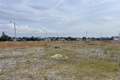 (Ảnh minh họa: Thanh Thủy/TTXVN)