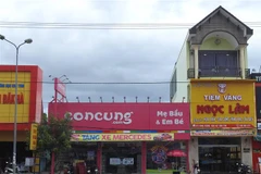 Thửa đất của nhà nước cho ông Lâm mượn, sau đó ông này cho hãng Concung.com thuê. (Ảnh: Cao Nguyên/TTXVN)