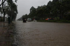 (Ảnh minh họa: Hồng Thái/TTXVN)