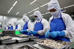Công nhân làm việc trong nhà máy chế biến thủy sản COFIDEC. (Ảnh: Hồng Đạt/TTXVN)