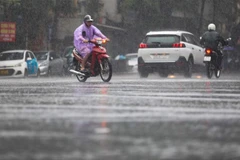 (Ảnh minh họa: Thanh Tùng/TTXVN)