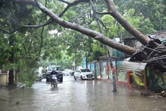 (Ảnh minh họa: Hoàng Hiếu/TTXVN)