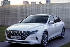 Grandeur Hybrid của Hyundai Motor ra mắt năm 2013 là mẫu xe "xanh" bán chạy nhất. (Nguồn: hyundai.com)