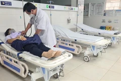 (Ảnh minh họa: Hồng Điệp/TTXVN)