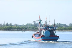 (Ảnh minh họa: Nguyên Lý/TTXVN)