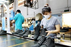 (Ảnh minh họa: Hồng Đạt/TTXVN)