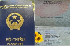 Cuốn hộ chiếu kiểu mới (màu xanh tím than) so với các cuốn hộ chiếu cũ màu xanh. (Ảnh: Mạnh Hùng/TTXVN)