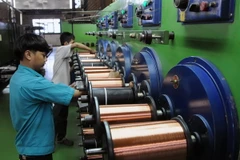 Ảnh chỉ có tính minh họa. (Ảnh: An Hiếu/TTXVN)