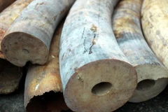 Ảnh chỉ có tính minh họa. (Ảnh: Phạm Hậu/TTXVN)