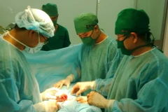 Ảnh chỉ có tính minh họa. (Ảnh: Công Mạo/TTXVN)