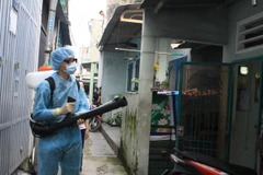 Phun xịt thuốc diệt muỗi phòng bệnh Zika, sốt xuất huyết. (Ảnh: Phương Vy/TTXVN)