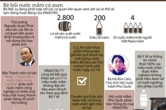 [Infographics] Toàn cảnh vụ bê bối nước mắm có chứa asen