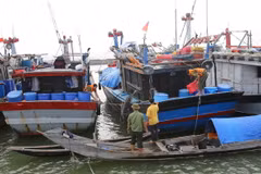 Kiểm tra, hướng dẫn và giúp đỡ ngư dân đưa tàu thuyền vào neo đậu tránh trú bão số 7. (Ảnh: Hồ Cầu/TTXVN)