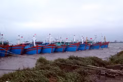 Tàu thuyền neo đậu tại thị trấn Thịnh Long, huyện Hải Hậu (Nam Định). (Ảnh: Văn Đạt/TTXVN)