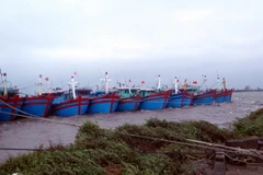 Tàu thuyền neo đậu tại thị trấn Thịnh Long, huyện Hải Hậu (Nam Định). (Ảnh: Văn Đạt/TTXVN)