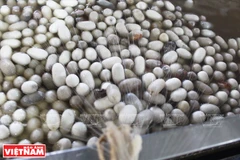 Tìm hiểu quá trình ươm tơ, dệt lụa trên cao nguyên Lâm Đồng