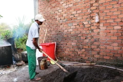 Pha trộn tạp chất vào hạt tiêu. (Ảnh minh họa: Chí Tưởng/TTXVN)