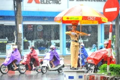 Những 'bông hồng thép' luôn đảm bảo hoàn thành tốt nhiệm vụ được giao. (Ảnh: Minh Đức/TTXVN)