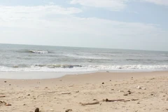 (Ảnh minh họa: Nguyễn Thanh/TTXVN)