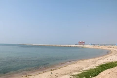 (Ảnh minh họa: Nguyễn Thanh/TTXVN)