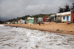 (Ảnh minh họa: An Hiếu/TTXVN)