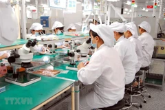 Dây chuyền sản xuất linh kiện điện tử tại Công ty TNHH Synopex Việt Nam (vốn đầu tư của Hàn Quốc), tại Khu công nghiệp Quang Minh (Hà Nội). (Ảnh minh họa: Danh Lam/TTXVN)