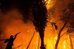 10 thảm họa liên quan đến khí hậu xảy ra trong hai năm qua