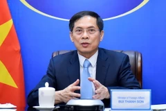 Bộ trưởng Bùi Thanh Sơn gặp Bộ trưởng Ngoại giao và Phát triển Anh