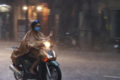 (Ảnh: Dương Giang/TTXVN)