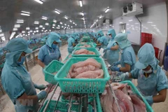 Mở rộng thị trường và nâng cao thương hiệu cho cá basa Việt Nam