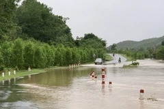 Phú Yên: Nước lũ dâng cao chia cắt cục bộ một số địa phương