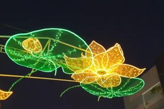 Cần Thơ không tổ chức đường hoa nhân dịp Tết Nhâm Dần 2022