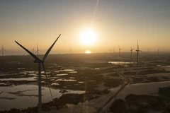 Khánh thành cụm trang trại điện gió B&T công suất 252 MW